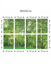 Фотообои бумажные Симфония "Берёзовая роща", 280х200 см