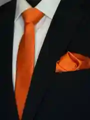 Галстук NEON