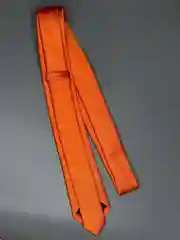 Галстук NEON