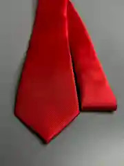 Галстук NEON