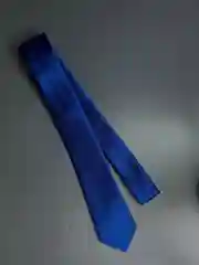 Галстук NEON