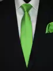 Галстук NEON