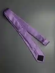 Галстук NEON