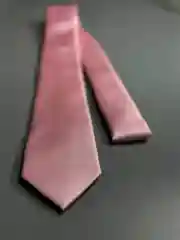 Галстук NEON