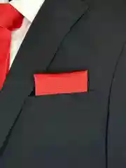 Платок паше NEON в нагрудный карман пиджака