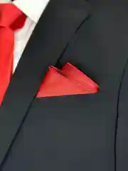 Платок паше NEON в нагрудный карман пиджака
