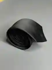 Галстук NEON
