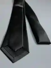 Галстук NEON