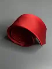 Галстук NEON