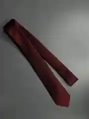 Галстук NEON