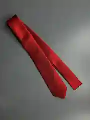 Галстук NEON
