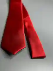 Галстук NEON