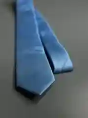 Галстук NEON
