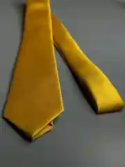 Галстук NEON