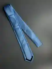 Галстук NEON