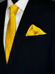 Галстук NEON