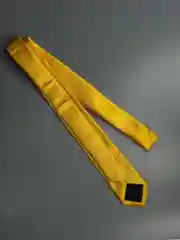 Галстук NEON