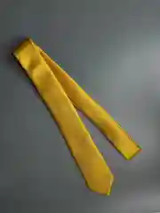 Галстук NEON