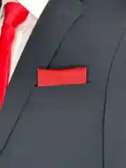 Платок паше NEON в нагрудный карман пиджака