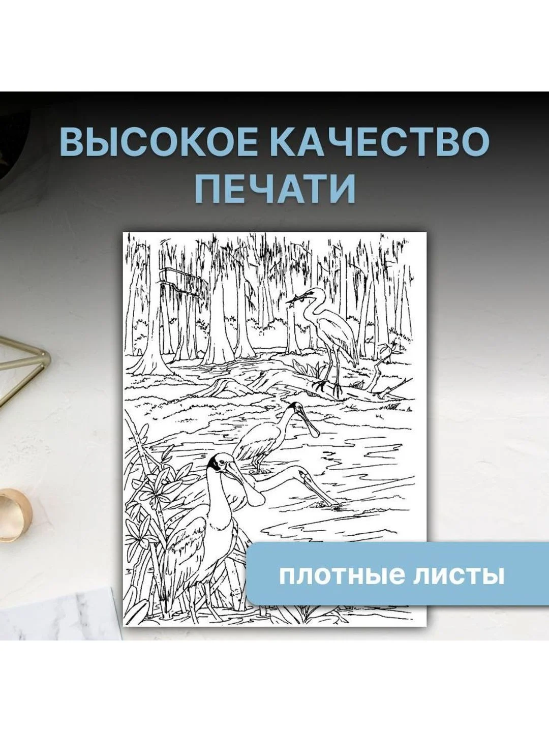 Разноцветный раскраска антистресс для взрослых и детей "Волшебство природы" формат А4