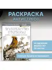 Разноцветный раскраска антистресс для взрослых и детей "Волшебство природы" формат А4