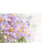 Фотообои бумажные Симфония "Чудное мгновение", 280х200 см