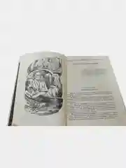 Книга Казанцев "Купол надежды"