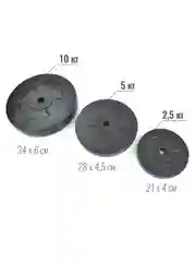 Набор дисков для штанги ProRun, 2 шт х 2,5 кг, черный, пластик, 100-5050