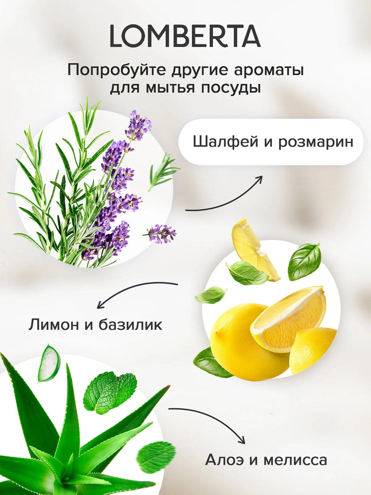Средство для мытья посуды Шалфей и розмарин Lomberta 3,9 л