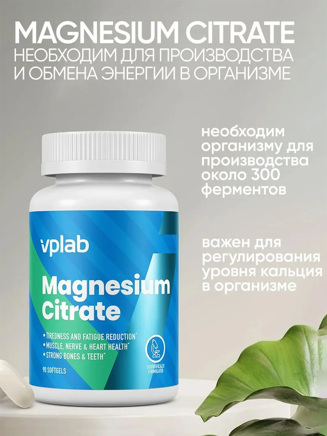 VPLAB Magnesium Citrate, Магний цитрат, 90 капсул