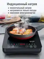 Серый электрическая индукционная безимпульсная плитка STINGRAY ST-HP3503A/ 3500W/ темное серебро