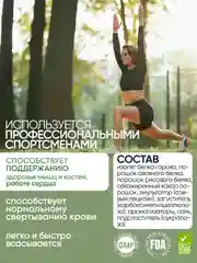 VPLAB Vegan Protein, Растительный протеин из гороха и риса, порошок 500г