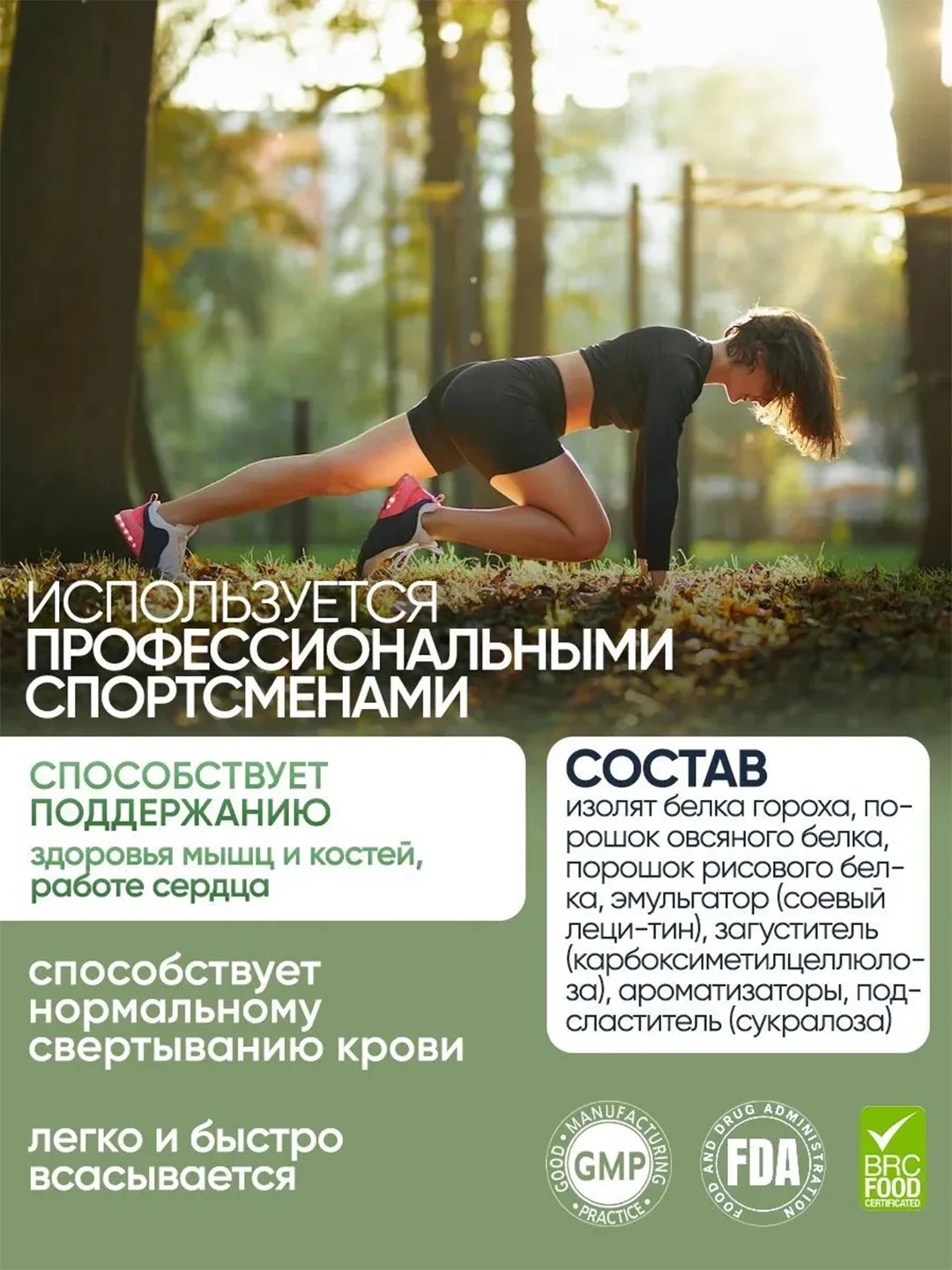 VPLAB Vegan Protein, Растительный протеин из гороха и риса, порошок 500г