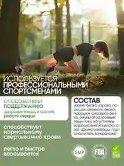 VPLAB Vegan Protein, Растительный протеин из гороха и риса, порошок 500г