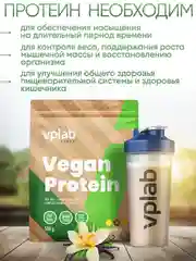 VPLAB Vegan Protein, Растительный протеин из гороха и риса, порошок 500г