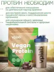 VPLAB Vegan Protein, Растительный протеин из гороха и риса, порошок 500г