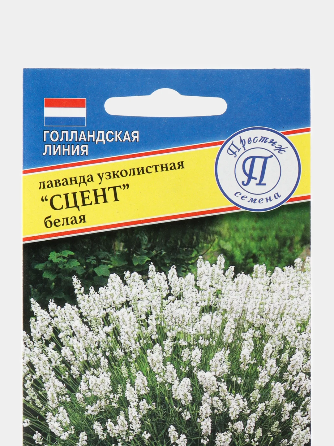 Лаванда узколистная Сцент Белая (семена,цветы)
