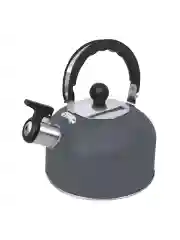 Серый металлик чайник со свистком HOME ELEMENT HE-WK1603B, темно-серый матовый