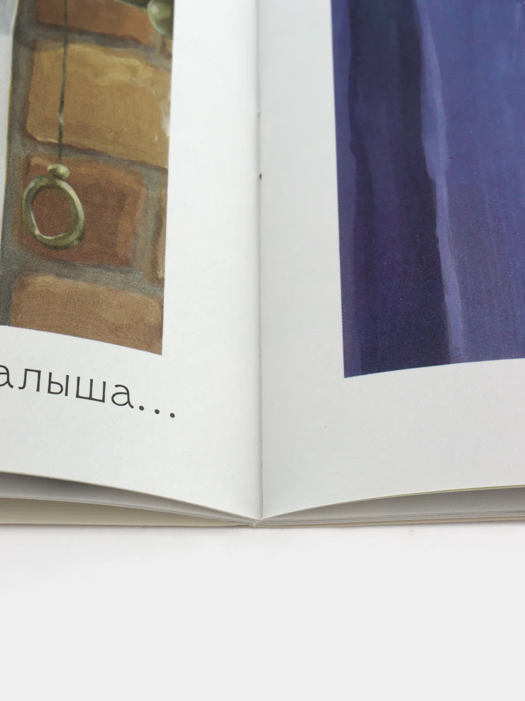 Книжки-картинки (мягкая обложка). Шмяк и новый малыш