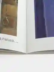 Книжки-картинки (мягкая обложка). Шмяк и новый малыш