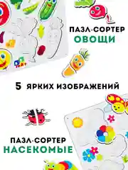 Сортеры, набор сортер-пазлов 6 штук, насекомые животные транспорт овощи