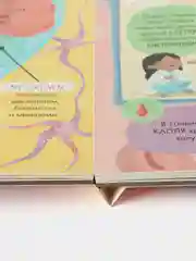 Книжка с окошками. Большая книга с окошками. Тело человека
