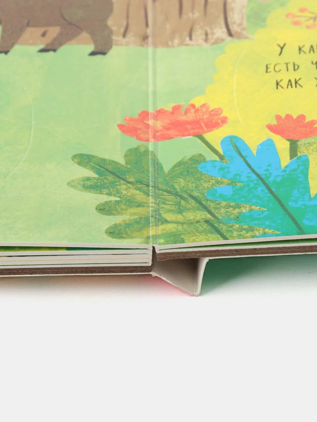 Книжка с окошками. Большая книга с окошками. Животные