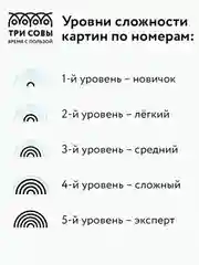 Картина по номерам на холсте ТРИ СОВЫ "Единение", 30х40см, с акриловыми красками и кистями