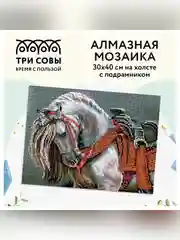 Алмазная мозаика ТРИ СОВЫ "Богатырский конь", 30х40 см, холст на деревянном подрамнике
