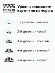 Картина по номерам на холсте Три совы "Нежные пионы", с красками и кистями, 40х50 см