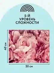 Картина по номерам на холсте Три совы "Нежные пионы", с красками и кистями, 40х50 см