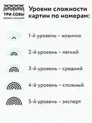 Картина по номерам на холсте Три совы "Хитрый лис", с красками и кистями, 40х50 см