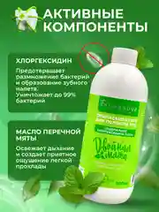Ополаскиватель для полости рта ХЛОРГЕКСИДИН Двойная мята, 500 мл х 3 шт