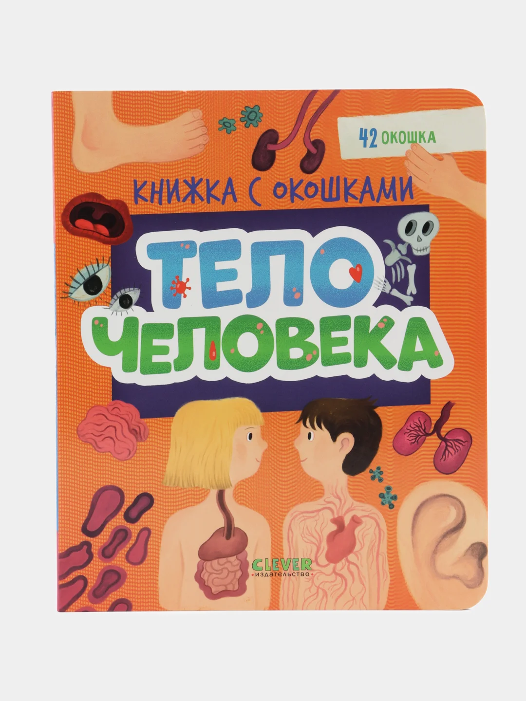 Книжка с окошками. Тело человека